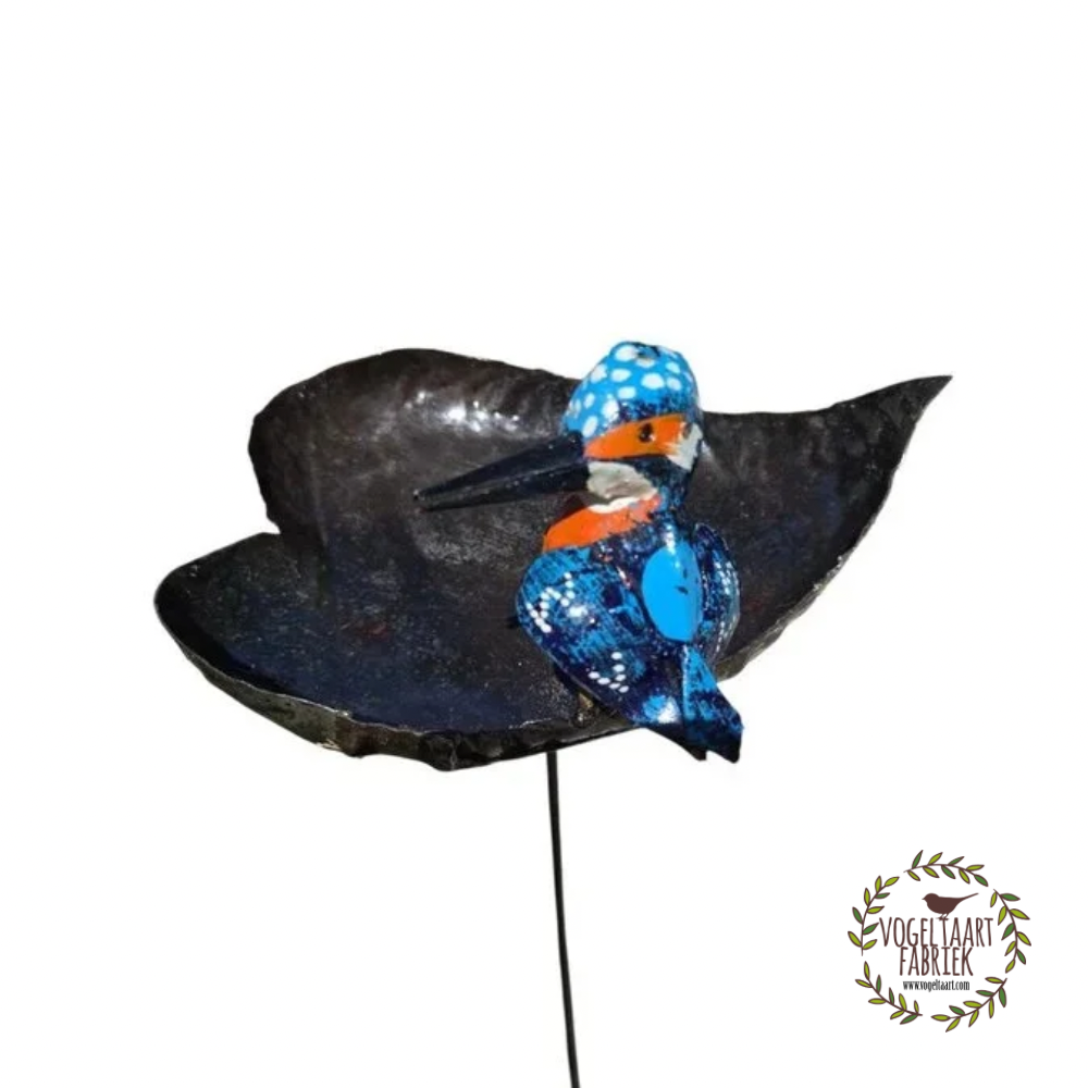 METALEN IJSVOGEL HART KOM OP STOK